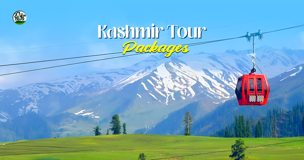 kashmir tour package for couple
